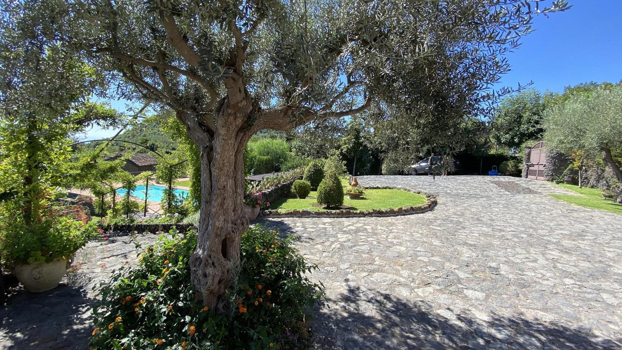 Il Palmento Dell'Etna Trecastagni Exterior foto